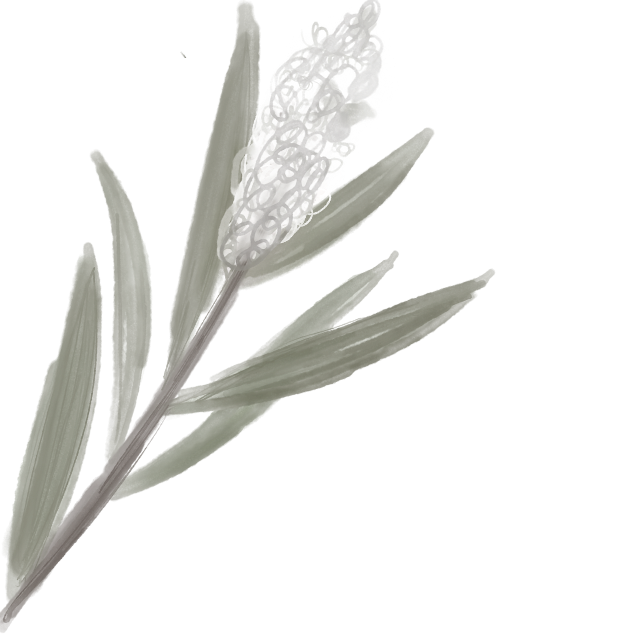 flor