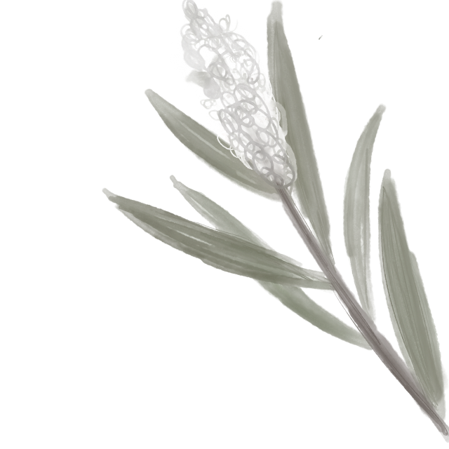 flor